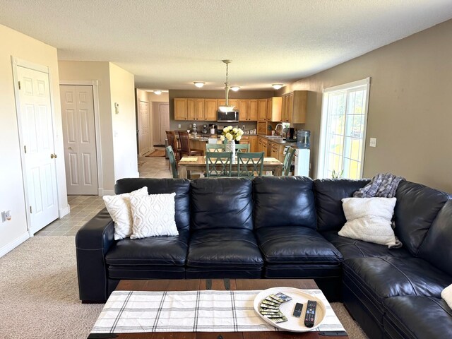 32661 County Road 16, Ross, MN 56751 - photo 13