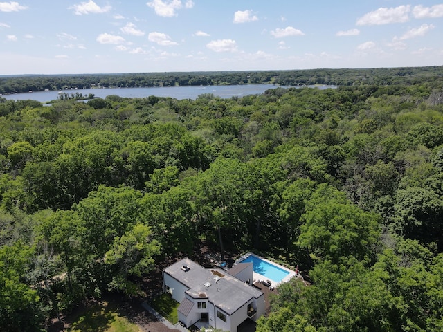 285 Leaf St, Orono, MN 55356 - drone / aerial view of a forest and a large body of water