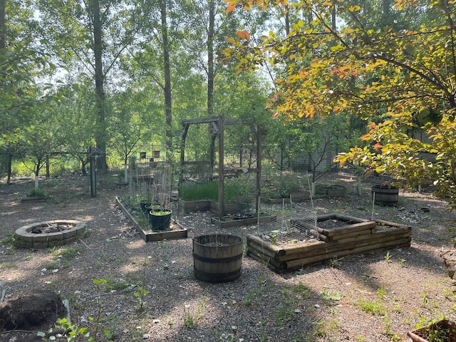 40884 Nature Ave, Fleming Twp, MN 56431 - view of yard featuring an outdoor fire pit and a vegetable garden