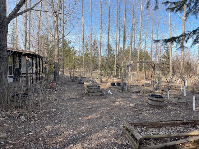 40884 Nature Ave, Fleming Twp, MN 56431 - view of yard