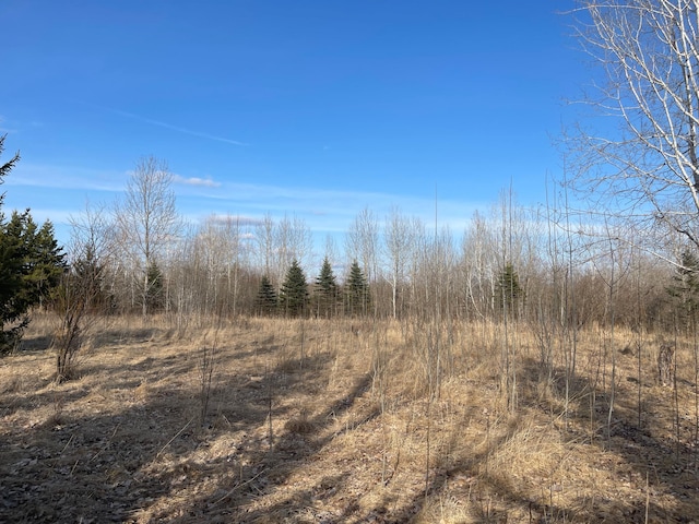 40884 Nature Ave, Fleming Twp, MN 56431 - view of undeveloped land