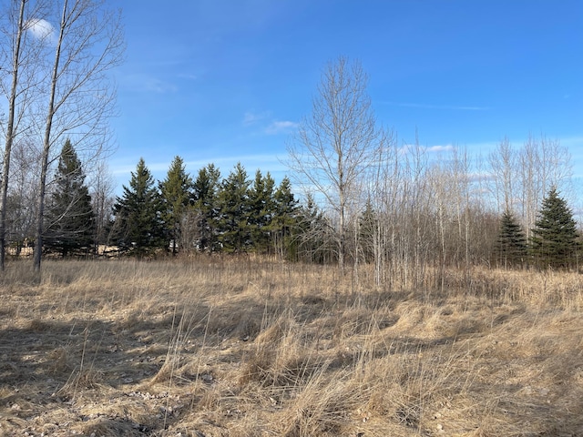 40884 Nature Ave, Fleming Twp, MN 56431 - view of local wilderness