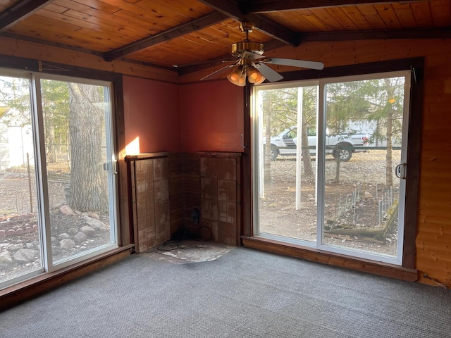 40884 Nature Ave, Fleming Twp, MN 56431 - unfurnished sunroom featuring plenty of natural light