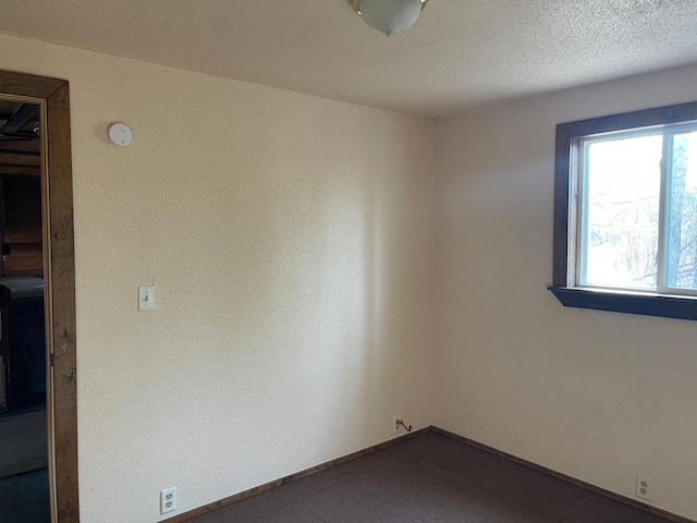 40884 Nature Ave, Fleming Twp, MN 56431 - carpeted spare room with baseboards