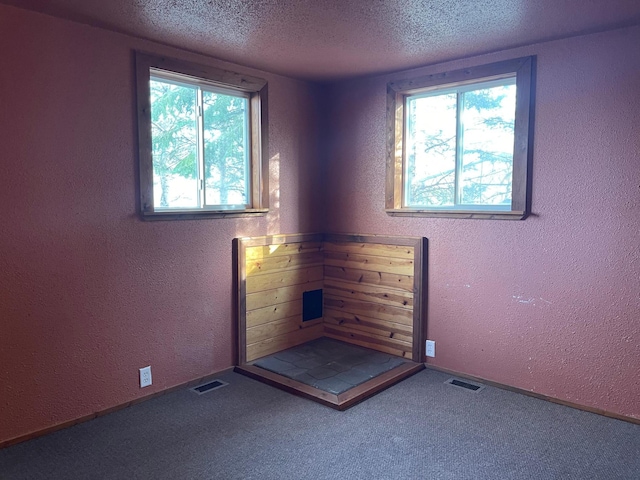 40884 Nature Ave, Fleming Twp, MN 56431 - unfurnished room featuring plenty of natural light, a textured ceiling, carpet floors, and a textured wall