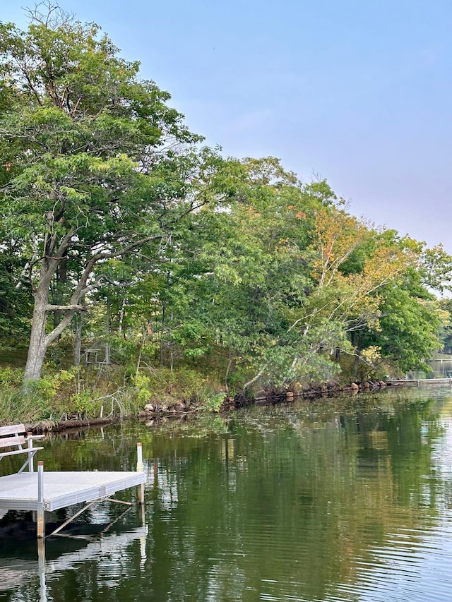 38985 337th Ln, Aitkin, MN 56431 - dock area featuring a water view