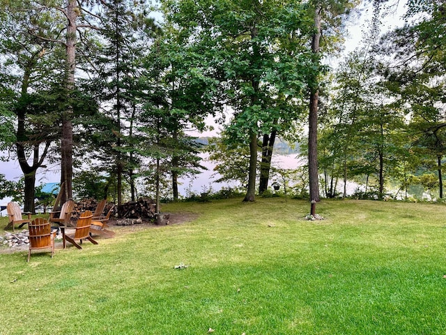 38985 337th Ln, Aitkin, MN 56431 - view of green lawn