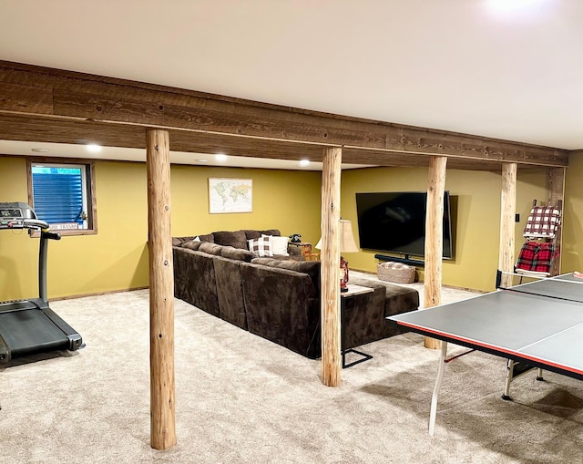 38985 337th Ln, Aitkin, MN 56431 - finished below grade area featuring carpet floors