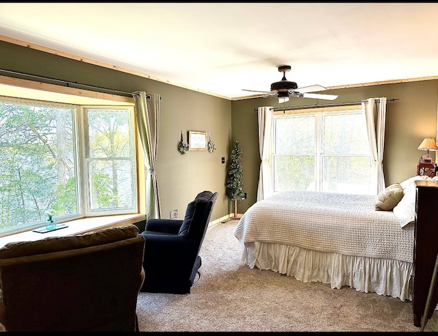 38985 337th Ln, Aitkin, MN 56431 - carpeted bedroom featuring multiple windows and a ceiling fan