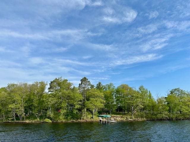 38985 337th Ln, Aitkin, MN 56431 - water view