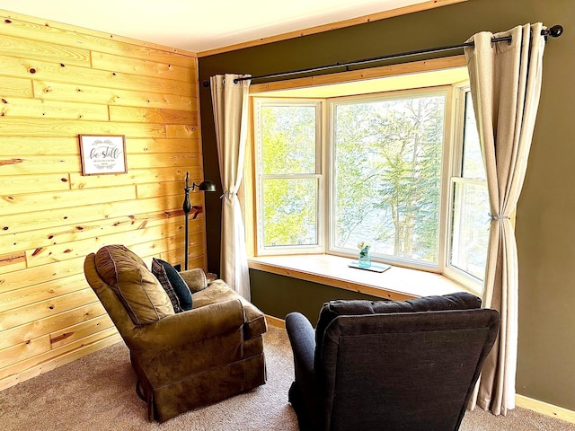 38985 337th Ln, Aitkin, MN 56431 - living area with carpet and plenty of natural light