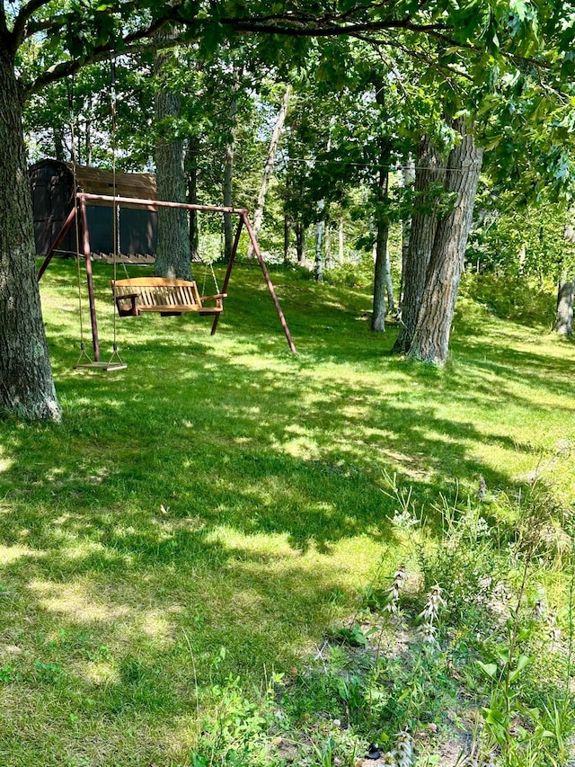 38985 337th Ln, Aitkin, MN 56431 - view of green lawn