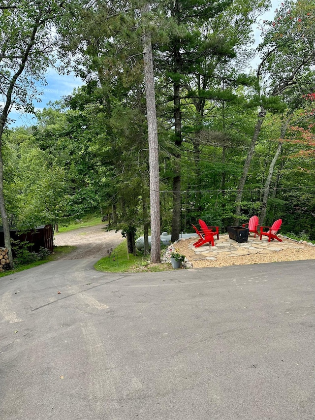 38985 337th Ln, Aitkin, MN 56431 - view of asphalt street