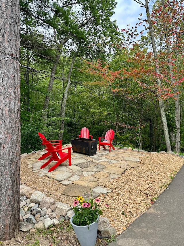 38985 337th Ln, Aitkin, MN 56431 - view of yard with a fire pit and a patio