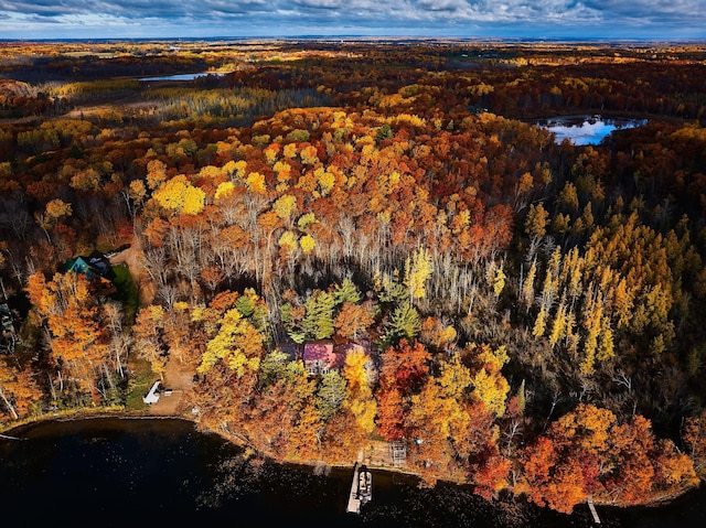 38985 337th Ln, Aitkin, MN 56431 - aerial view of property and surrounding area featuring a forest and a large body of water
