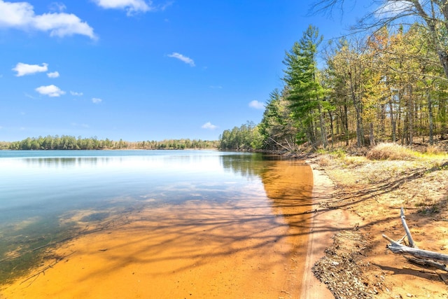 3626 Bay Dr, Danbury, WI 54830 - water view with a heavily wooded area