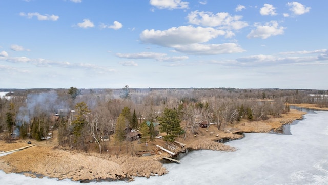 view of wooded area