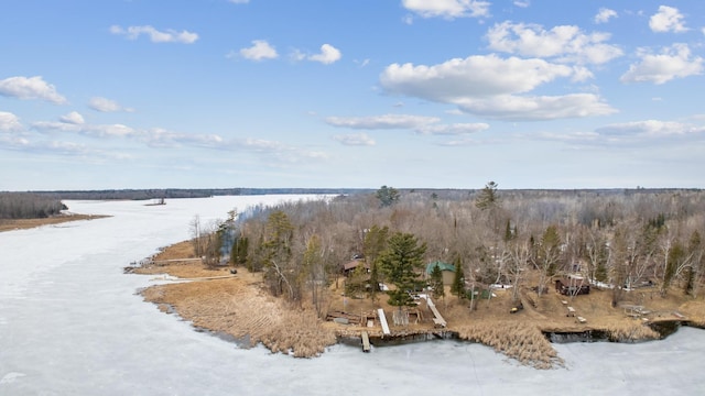 water view featuring a heavily wooded area