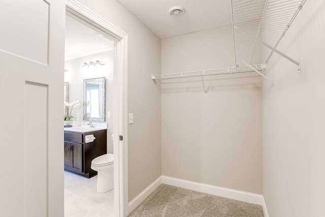 10017 177th Ave NW, Elk River, MN 55330 - spacious closet featuring a sink and light carpet