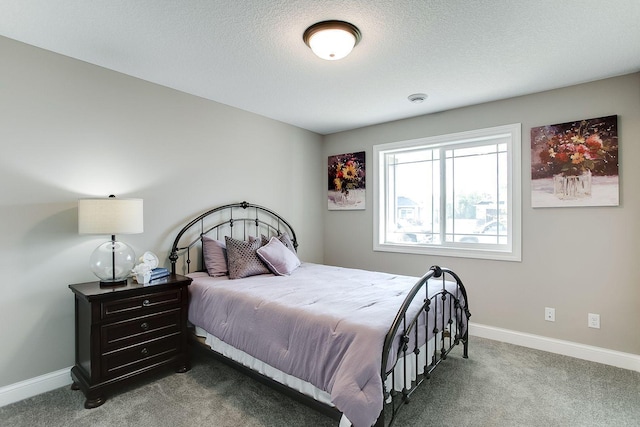 10017 177th Ave NW, Elk River, MN 55330 - bedroom featuring carpet flooring, baseboards, and a textured ceiling