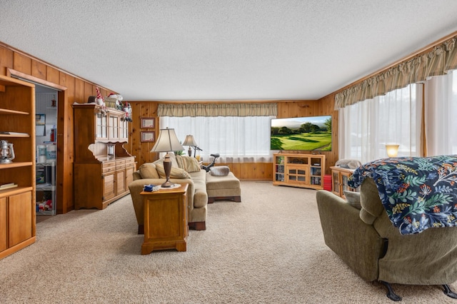 42271 Vista Road, East Side Twp, MN 56342 - living area with healthy amount of natural light, wooden walls, carpet flooring, and a textured ceiling