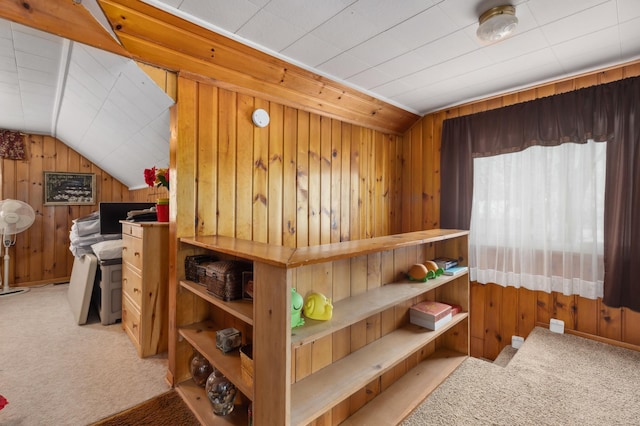 42271 Vista Road, East Side Twp, MN 56342 - view of storage room