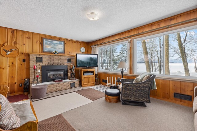 42271 Vista Road, East Side Twp, MN 56342 - carpeted living room with a textured ceiling, wooden walls, and a fireplace