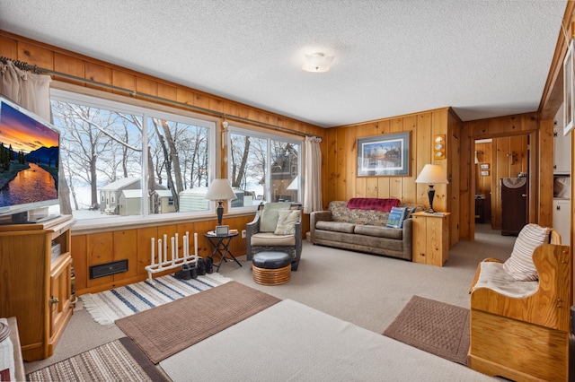 42271 Vista Road, East Side Twp, MN 56342 - living room with light carpet, wood walls, and a textured ceiling