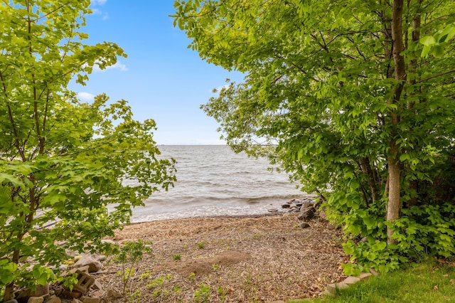 42271 Vista Road, East Side Twp, MN 56342 - water view featuring nearby beach