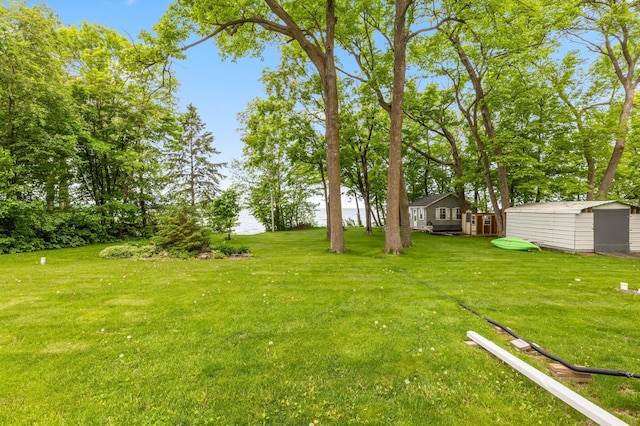 42271 Vista Road, East Side Twp, MN 56342 - view of green lawn