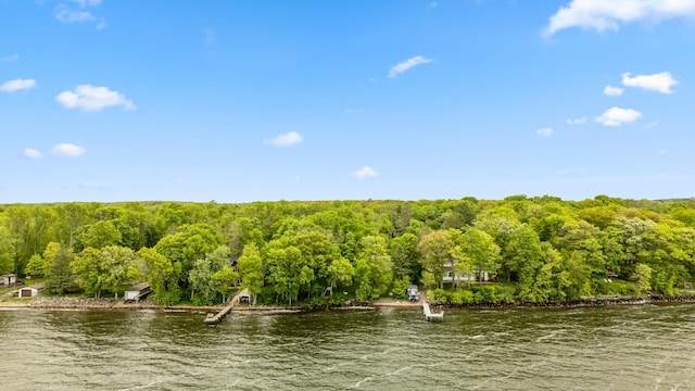 42271 Vista Road, East Side Twp, MN 56342 - water view with a forest