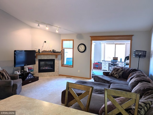 902 Meadow Lark Ln, Long Prairie, MN 56347 - living area featuring carpet floors, track lighting, a fireplace, and baseboards