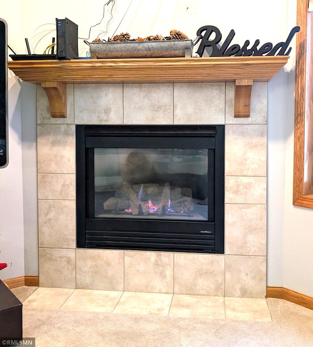902 Meadow Lark Ln, Long Prairie, MN 56347 - detailed view of baseboards and a fireplace