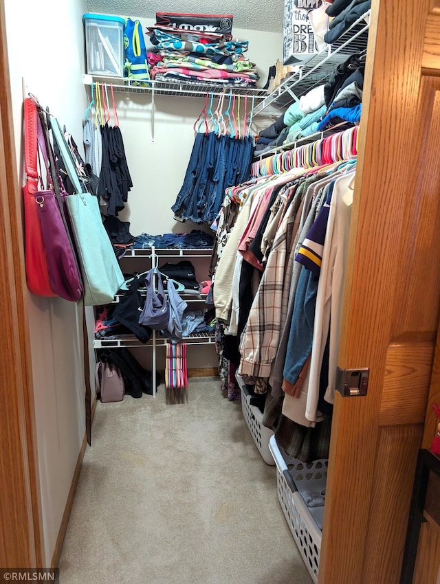 902 Meadow Lark Ln, Long Prairie, MN 56347 - spacious closet with carpet