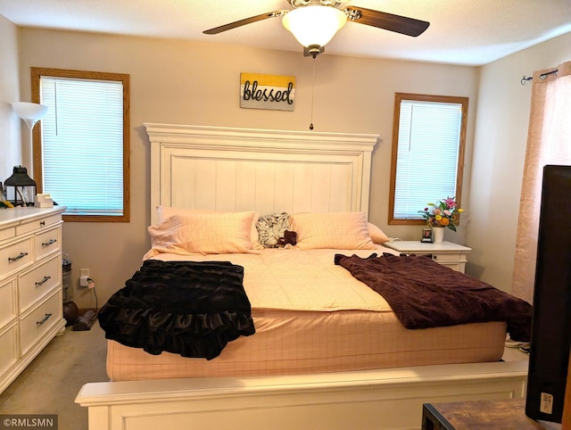 902 Meadow Lark Ln, Long Prairie, MN 56347 - bedroom featuring ceiling fan