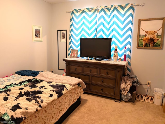902 Meadow Lark Ln, Long Prairie, MN 56347 - bedroom featuring light carpet