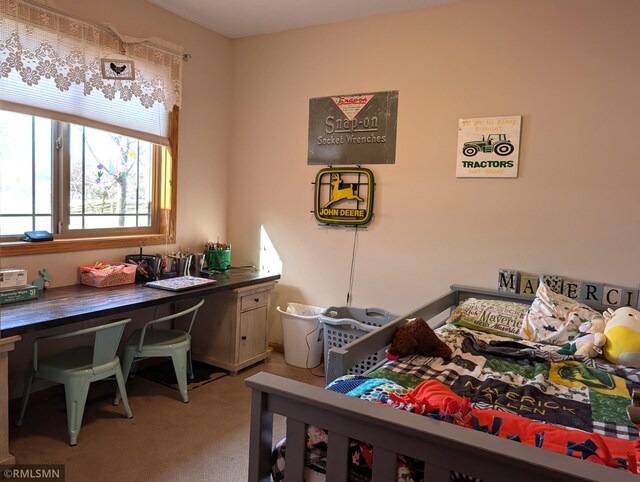 902 Meadow Lark Ln, Long Prairie, MN 56347 - bedroom featuring light carpet