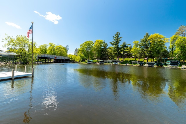 8182 County 78 Unit 102, Lake Shore, MN 56468 - photo 25