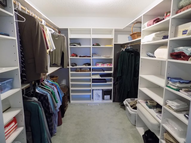 spacious closet with carpet