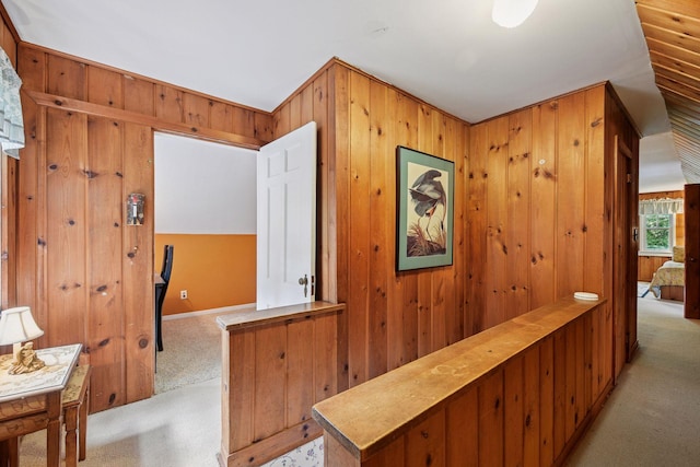 19135 Highland Ave, Deephaven, MN 55391 - corridor with light carpet and wooden walls