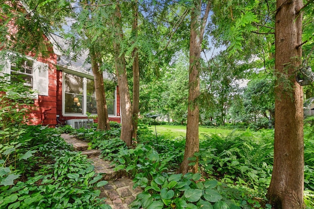 19135 Highland Ave, Deephaven, MN 55391 - view of yard