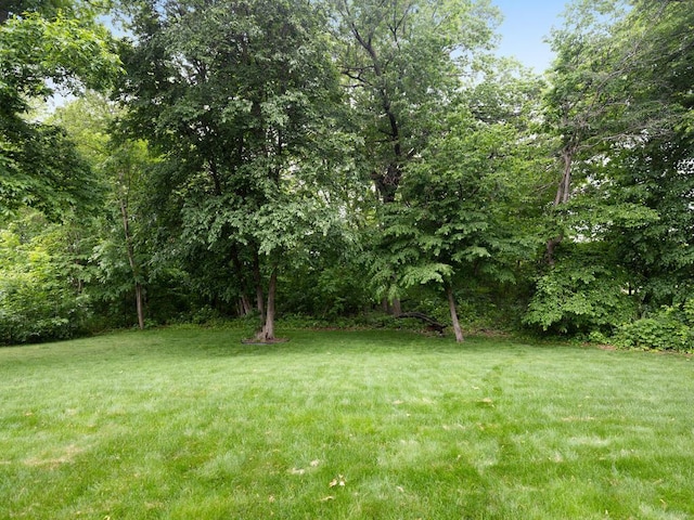 16260 Berens Ct, Prior Lake, MN 55379 - photo 10