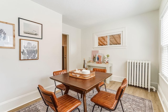 dining room with baseboards, light wood-style flooring, radiator, and a healthy amount of sunlight