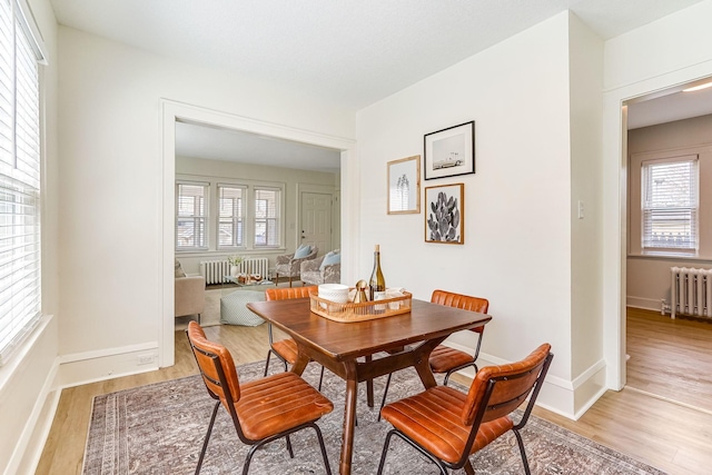 dining area with plenty of natural light, light wood-style flooring, and radiator