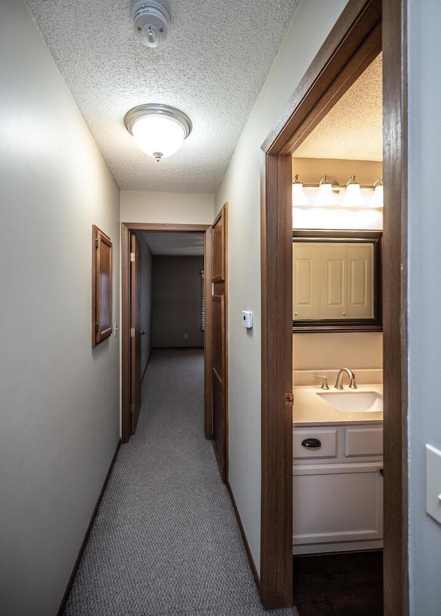 3578 Blue Jay Way Unit 204, Eagan, MN 55123 - corridor with a sink, carpet, and a textured ceiling