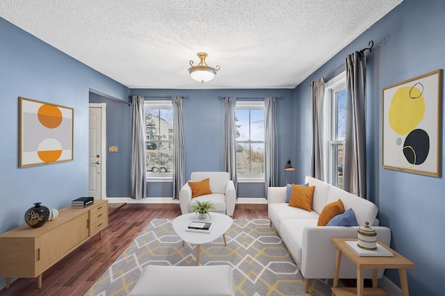 919 6th Ave S, Stillwater, MN 55082 - living area featuring wood finished floors and a textured ceiling