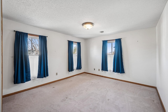 919 6th Ave S, Stillwater, MN 55082 - carpeted spare room with healthy amount of natural light and a textured ceiling