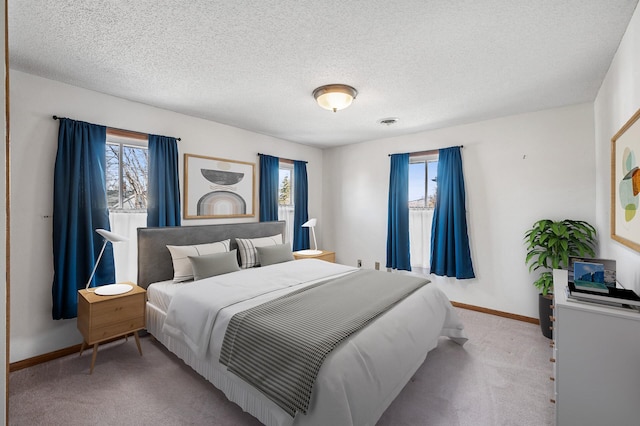 919 6th Ave S, Stillwater, MN 55082 - bedroom with multiple windows, carpet flooring, and a textured ceiling