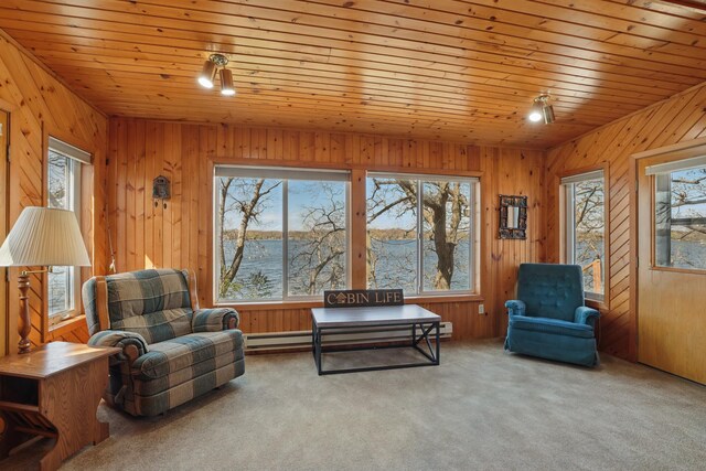 living area featuring carpet floors, wooden walls, plenty of natural light, and wood ceiling