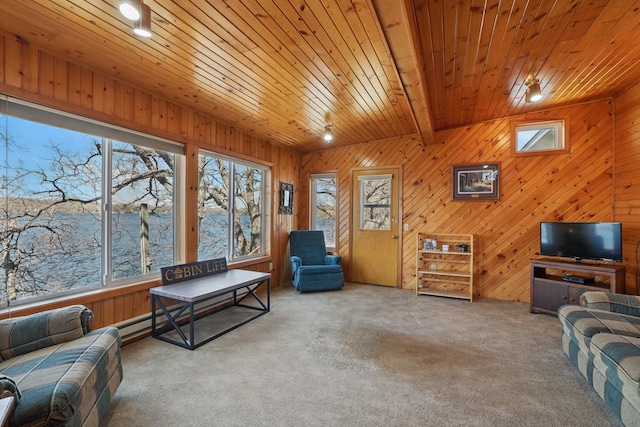 living room featuring carpet flooring, wooden walls, wooden ceiling, and a water view